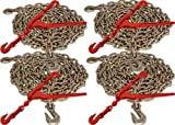 5/16" x 20' G70 Tie Down Chain and 5/16" - 3/8" G70 Lever Chain Binder (8pc Set)