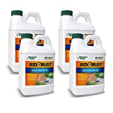 American Hydro Systems RR1 Rid O' Rust 2X Concentration Rust Preventer, 1/2-Gallon Bottle (Pack of 4)