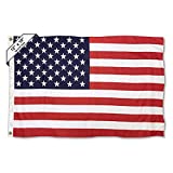 Sports Flags Pennants Company USA American Small Boat Golf Cart Flag