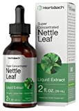 Stinging Nettle Leaf Extract | 2 fl oz | Alcohol Free Liquid | Vegetarian, Non-GMO, Gluten Free Tincture | by Horbaach