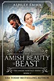 Amish Beauty and the Beast: (standalone novel) (The Amish Fairytale Series Book 2)
