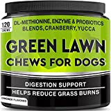 GOODGROWLIES Grass Treats for Dogs - Dog Pee Lawn Repair - Grass Burn Spots Caused by Dog Urine - Grass Rocks with Probiotics + Digestive Enzymes, Cranberry - Made in USA - 120 Soft Chews