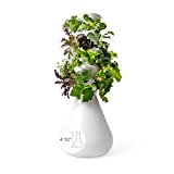 Lettuce Grow Farmstand 24-Plant Hydroponic Growing System Kit | Outdoor Indoor Vertical Garden | Herb Vegetable Planter Tower | Large Home Gardening w/Self Watering Pump, BPA-Free Food Grade | 4 10