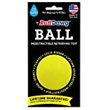 Ruff Dawg Ball Dog Toy Regular