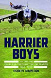 Harrier Boys: Volume 1 - Cold War through the Falklands, 1969-1990