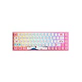 EPOMAKER AKKO 3068B Plus World Tour R2 65% Hot-Swap 2.4Ghz Wireless/Bluetooth/Wired Mechanical Keyboard with RGB Backlight, Dye-sub PBT Keycaps for Gamers/Mac/Win (AKKO CS Jelly Pink)