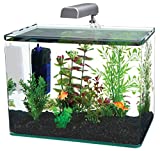 PENN-PLAX Water-World Radius Desktop Nano Aquarium Kit  Includes LED Light, Internal Filter, and Mat  Perfect for Shrimp and Small Fish  5 Gallon Tank