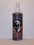 Spurrs Big Fix C Spurrs 8oz Pet Antiseptic 12