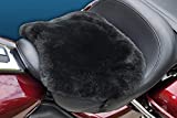 Skwoosh XL Touring Natural Sheepskin Motorcycle Pad with Gel Insert XLSH0715