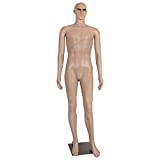 Male Mannequin Full Body Adjustable Mannequin Torso Dress Form with Metal Base 73inches