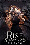 Rise of Shadows (Darker Shade Series Book 1)