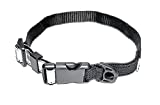 Cat Elastic Reflective Safety Collar (Silver)