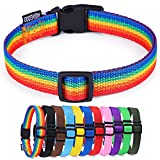 AMAGOOD Pet Essentials 40+ Colors and Size Classic Nylon Adjustable Dog/Cat Collars, for Puppy Small Medium Large Dogs and Cats(Medium,Rainbow)