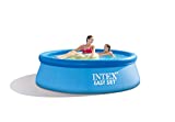 Intex 8ft X 30in Easy Set Pool Set with Filter Pump