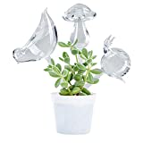 OYSIR 3 Pack Plant Waterer Self Watering Globes,Bird Shape Hand Blown Transparent Mini Durable Clear Glass Aqua Bulbs