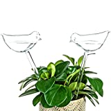 Kingbuy Self Watering Globes Plant Waterer Device Bird Shape Hand Blown Clear Glass Bulb for Indoor or Outdoor Plants, 4 Pack