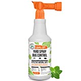 Mighty Mint 32oz Yard Spray Peppermint Bug Control Natural Lawn Spray for Fleas, Ticks, Mosquitos, Ants, and Other Insects