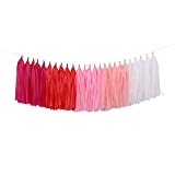 Fonder Mols 25pcs Pink Ombre Tassel Garland DIY Kit- Balloon Tail - Banner - Pink Birthday - Pink Nursery - Bachelorette Party - Baby Girl - Baby Shower - High Chair Decorations A02