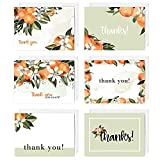 Little Cuties Clementine Thank You Greeting Cards / 24 Baby Shower Note Cards With White Envelopes / 6 Adorable Fruit Thanks Designs / Made In USA