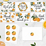 36Pack Little Cutie Thank You Cards Assortment with Envelopes Orange Stickers Clementine Theme Party Supplies Little Cutie Baby Shower Gifts 4 x 6 Inches