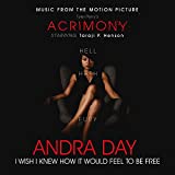 I Wish I Knew How It Would Feel to Be Free (From Tyler Perry's "Acrimony")