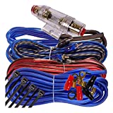 Complete 1000W Gravity 8 Gauge Amplifier Installation Wiring Kit Amp PK3 8 Ga Blue - for Installer and DIY Hobbyist - Perfect for Car/Truck/Motorcycle/RV/ATV