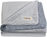 Friends Forever Durable Dog Blanket for Couch Protection | Two Tone Reversible Pet Hair Resistant Blanket for Dogs Cats Bed Kennel Crate Car Seat - Soft Velvet, Warm Fleece (Medium 45x35)