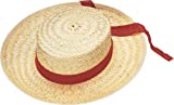 Rubie's mens Straw Gondolier Hat Party Supplies, Multicolor, One Size US