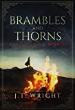 Brambles and Thorns (The Infinite World Book 4)