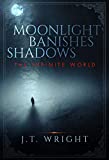 Moonlight Banishes Shadows (The Infinite World Book 3)