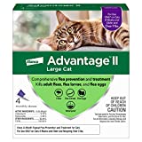 Advantage II 4-Dose Large Cat Flea Prevention, Flea Prevention for Large Cats, 9 Pounds and Over