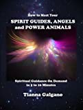 How To Meet Your SPIRIT GUIDES, ANGELS and POWER ANIMALS:: Spiritual Guidance On Demand in 5 to 10 Minutes, a Practical Guide