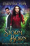 Storm Born (The Witches of Wheeler Park Book 1)