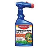 BioAdvanced Fungus Control for Lawns, Ready-to-Spray, 32 oz