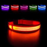 MASBRILL LED Dog Collar,Night Glow Light Up Dog Collar DC Rechargeable Waterproof Durable Glowing Dog Collar 3 Colors (M(0.9819.69"), Orange)