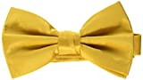 Stacy Adams Men's Satin Solid Bow Tie, Gold, One Size