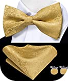 Dubulle Gold Bow Tie for Men Pocket Square Pretied Bowtie Solid Gold Handkerchief Set
