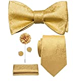 Hi-Tie Gold Paisley Tie and Bowtie Lapel Pin Set Silk Necktie and Self Tie Bowtie Cufflinks