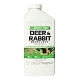 Liquid Fence Deer & Rabbit Repellent Concentrate,Keep Deer & Rabbits Out of Garden Patio &Backyard,Use on Gardens Shrubs &Trees, Harmless to Plants &Animals When Used & Stored as Directed, 40fl Ounce