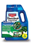 BioAdvanced 12 Month Tree and Shrub Protect and Feed, Granules, 10 lb
