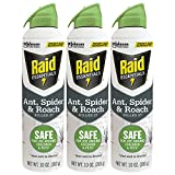Raid Essentials Ant Spider, and Roach Killer Aerosol Spray, Child & Pet Safe, Kills Insects Quickly, for Indoor Use 10 Ounce (Pack of 3)