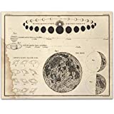 Celestial Phases Poster- 11x14 Unframed Art Print - Great Gift for Dark Academia Astronomers and Space Exploration Enthusiasts