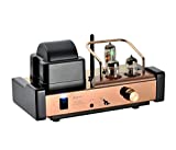 Dared MP-5BT HiFi Vacuum Tube Amplifier, Audiophiles Professional Stereo Integrated AMP, Hybrid Amplifier, USB DAC/Line Input, 25W x 2 Output, with 6N1,6N2,6E2 Tubes