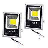 Lysed 12 Volt Flood Light Bowfishing Lights 30W Low Voltage Flood Lights Outdoor IP66 Waterproof (White Light 2Pack)