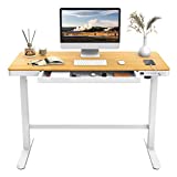 FLEXISPOT EW8 Comhar Electric Standing Desk with Drawers Charging USB Port, Height Adjustable 48" Whole-Piece Quick Install Home Office Computer Laptop Table with Storage (Maple Top + White Frame)