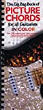 Gig Bag Book Of Picture Chords For All Guitarists In Color (Gig Bag Books)