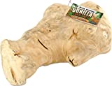 Ware Manufacturing Gorilla Chew, Large, Long Lasting Wood Chew for Dogs