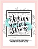 Domina la mierda esta del lettering: Lettering y caligrafa moderna de nivel principiante para cabronas con arte: Una divertida gua y cuaderno de trabajo (Spanish Edition)