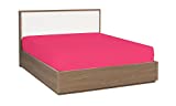 Mezzati Luxury Fitted Sheet  Soft and Comfortable 1800 Prestige Collection  Brushed Microfiber Bedding (Hot Pink, Twin Size)