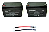 WindyNation 2pcs 100 amp-Hour 100AH 12V 12 Volt AGM Deep Cycle Sealed Lead Acid Battery - Solar RV UPS Off-Grid (2 pcs 100 amp-Hour)